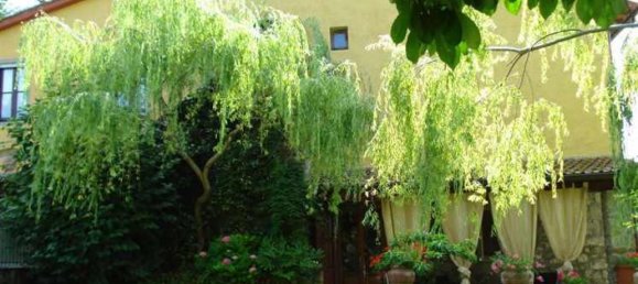 Studio in Fiesole, Italy, Nr. 1430 5