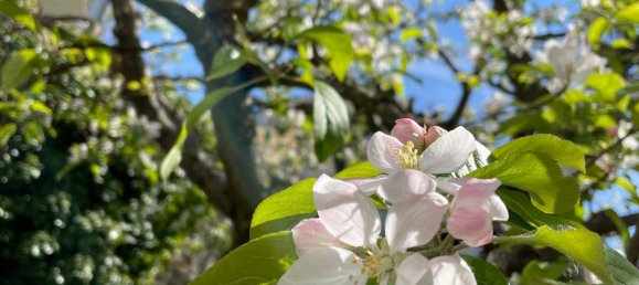 5 rooms Townhouse in Kitzingen, Germany No. 324096 7