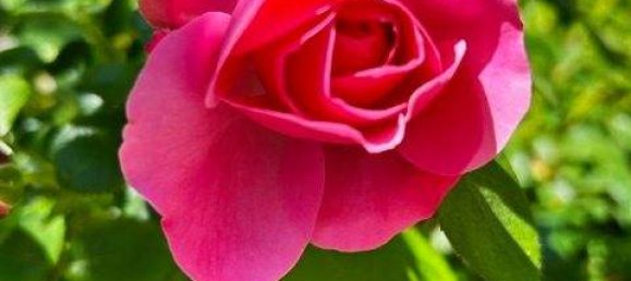 5 rooms Townhouse in Kitzingen, Germany No. 324096 2