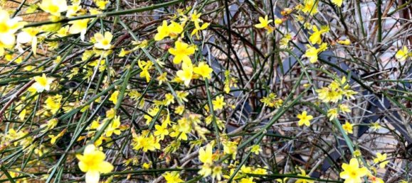 5 rooms Townhouse in Kitzingen, Germany No. 324096 11