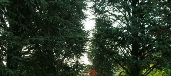 6 bedrooms Villa in Vergiate, Italy No. 312023 12