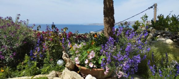 Propiedad comercial de 6 dormitorios en Karystos, Greece No. 2816 2