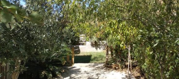 Propiedad comercial de 6 dormitorios en Karystos, Greece No. 2816 24