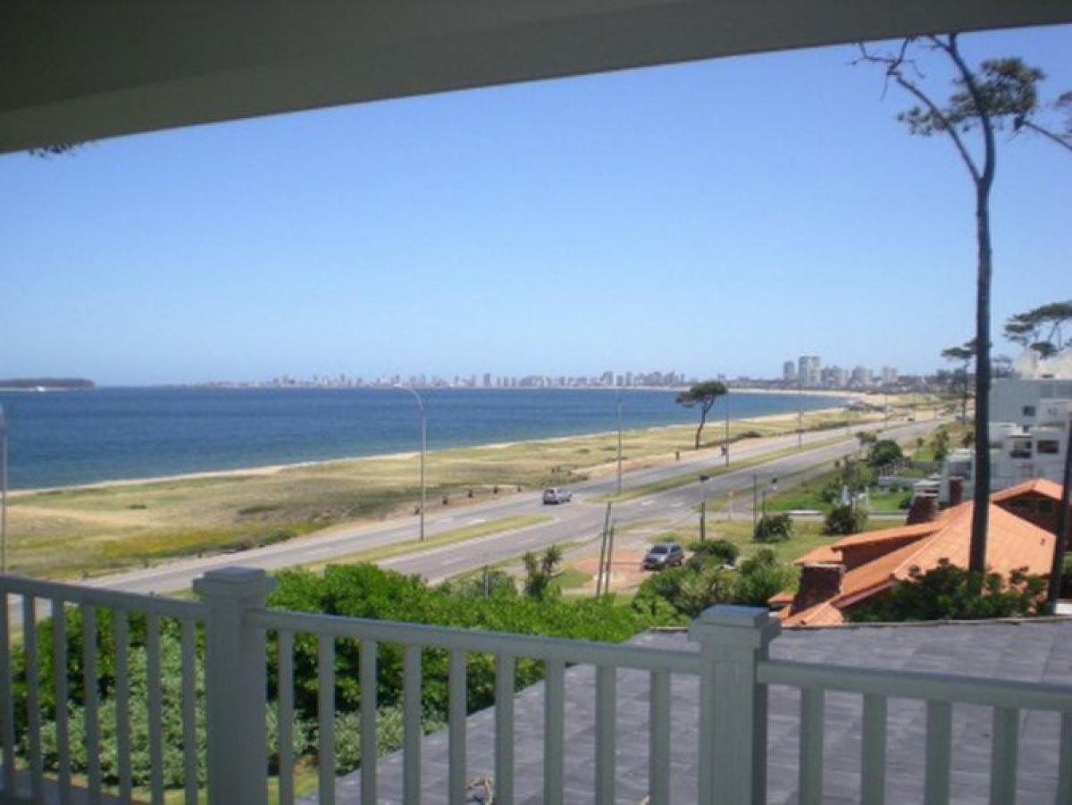 7 bedrooms House in Maldonado, Uruguay No. 5839