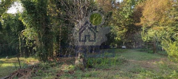 Дом с 3 комнатами в Веролануова, Италия № 33939 7