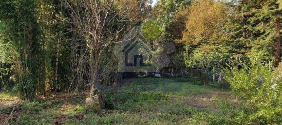 Дом с 3 комнатами в Веролануова, Италия № 33939 8