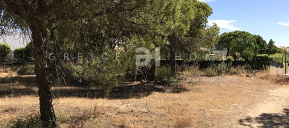 Земельный участок 960м² в Алмансил, Португалия № 109147 9