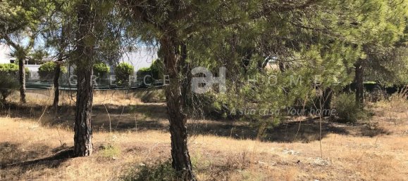 Земельный участок 960м² в Алмансил, Португалия № 109147 12