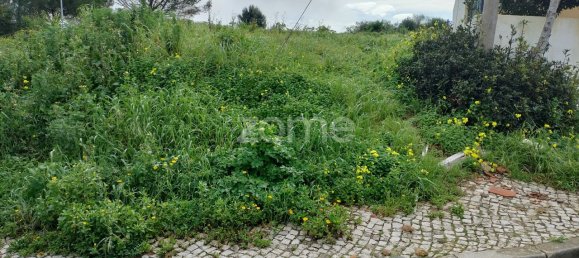 543m² Land in Cascais, Portugal No. 85802 5