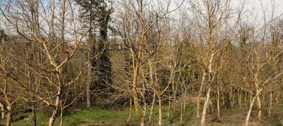 6غرفة منزل في Orvieto, Italy رقم 47377 3