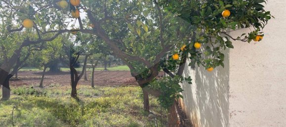 10-Zimmer Villa in Polignano a Mare, Italy, Nr. 19181 20