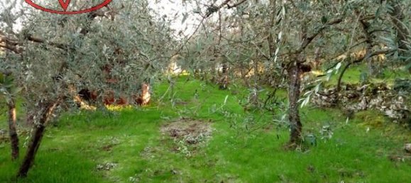 Земельный участок 9000м² в Бучине, Италия № 228197 2