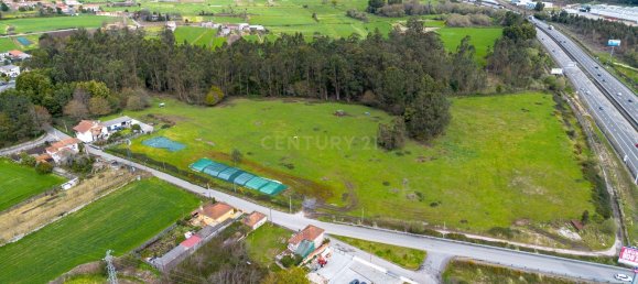 Grundstück in Trofa, Portugal 59000m², Nr. 11638 6