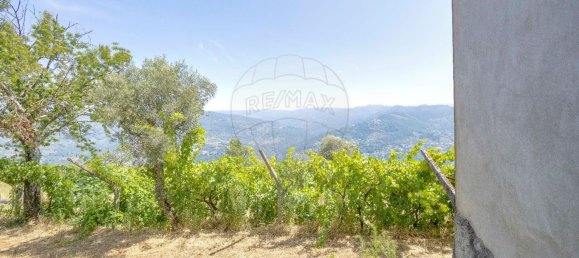 Estudio en Baiao, Portugal No. 183359 16