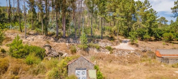 Estudio en Baiao, Portugal No. 183359 20