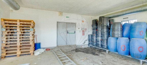 Estudio en Baiao, Portugal No. 183359 13