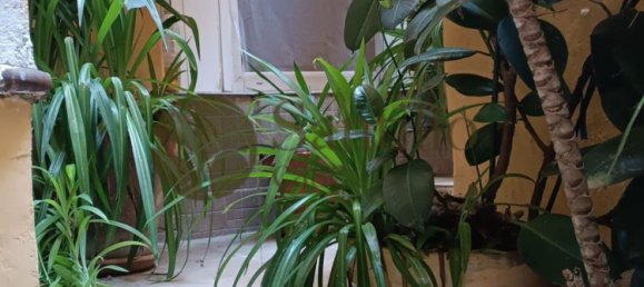 3 غرف نوم شقة في Rome, Italy رقم 341793 24