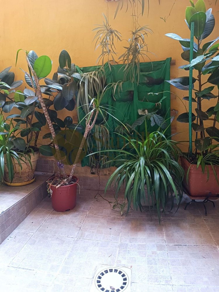 3 غرف نوم شقة في Rome, Italy رقم 341793