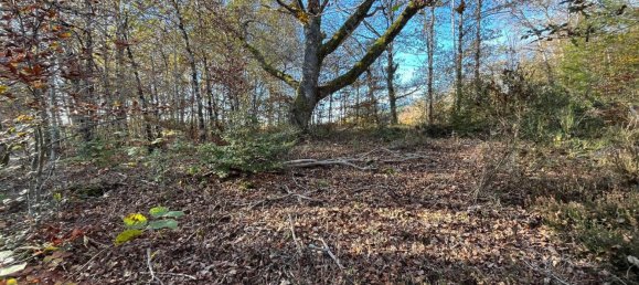 Grundstück in Palisse, France, Nr. 95978 4