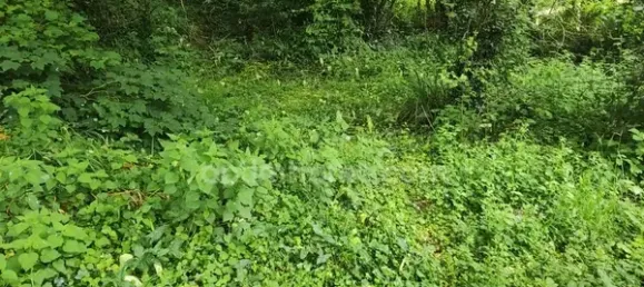 Terreno em Rostrenen, France 2080 m² N.º 321157 5