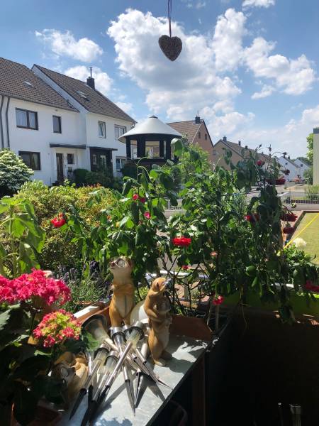 1 chambre Appartement à Rhein-Sieg, Germany No. 209769