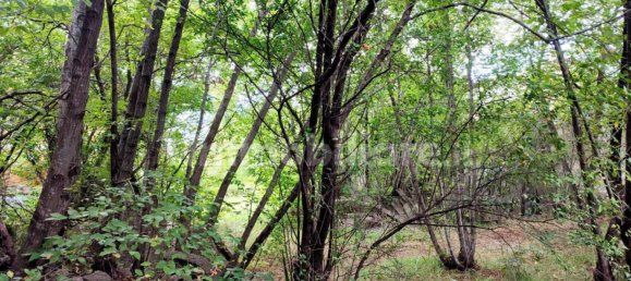 4 غرف نوم فيلا في Trieste, Italy رقم 257534 24