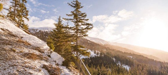 3-Zimmer Haus in Tamsweg, Austria, Nr. 175237 22