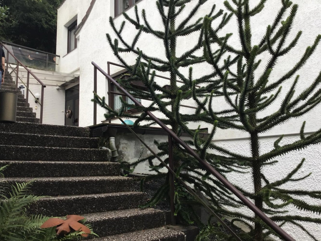 3 Schlafzimmer Stadthaus in Hagen, Germany, Nr. 243445