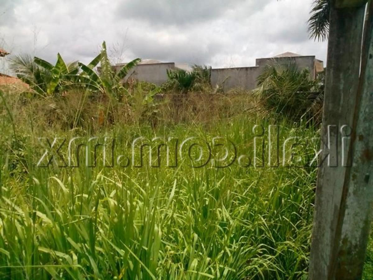 Terreno en Veracruz, Mexico No. 203629