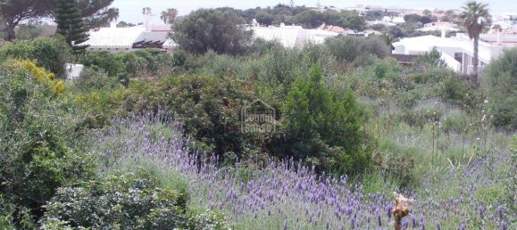 Land in Sant Lluis, Spain No. 3956 5