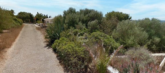 Land in Sant Lluis, Spain No. 3956 7