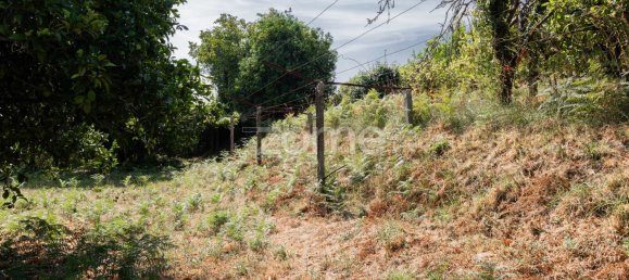 3 غرف نوم منزل في Valenca, Portugal رقم 73546 35