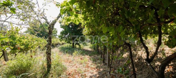 3 غرف نوم منزل في Valenca, Portugal رقم 73546 34