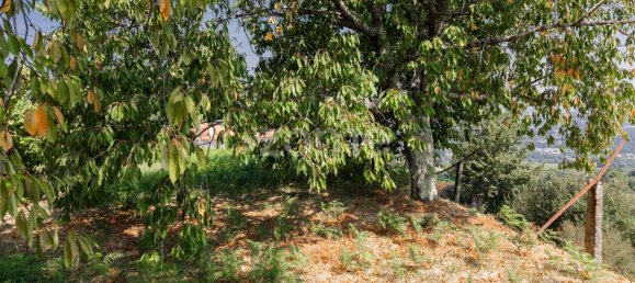 3 غرف نوم منزل في Valenca, Portugal رقم 73546 37