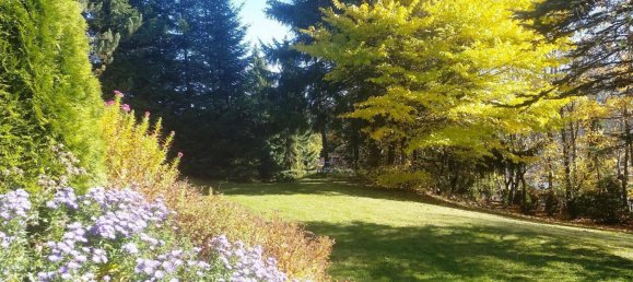 Apartamento de 1 dormitorio en Regen, Germany No. 283071 15