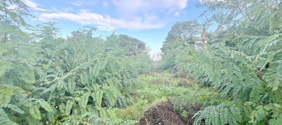 Grundstück in A Coruna, Spain 512m², Nr. 50001 6