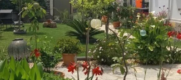 4 bedrooms Commercial property in Chalkidiki, Greece No. 2141 4