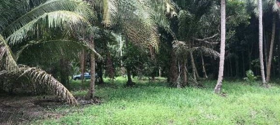  Commercial property in Ko Chang, Thailand No. 3424 2