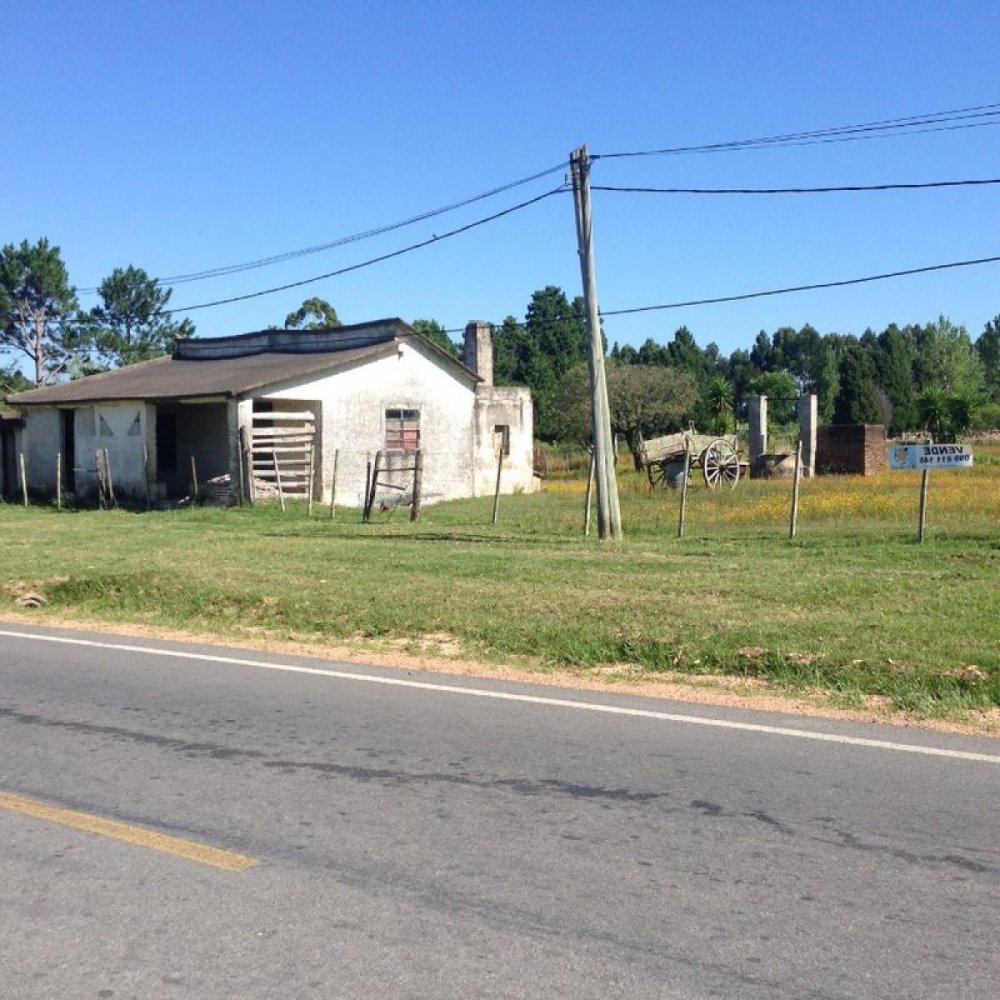  Farm in Maldonado, Uruguay No. 15191