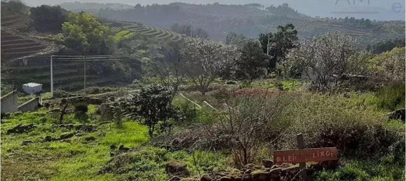 3 bedrooms House in Favaios, Portugal No. 201322 50