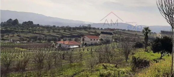 3 bedrooms House in Favaios, Portugal No. 201322 49