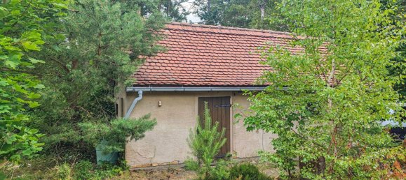 2 غرف نوم منزل في Wittenberg, Germany رقم 350383 8