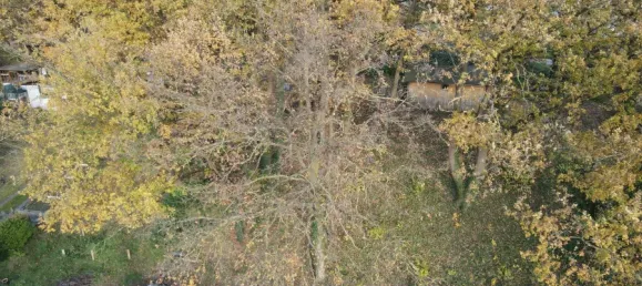 Земельный участок в Швальм-Эдер, Германия № 164296 2