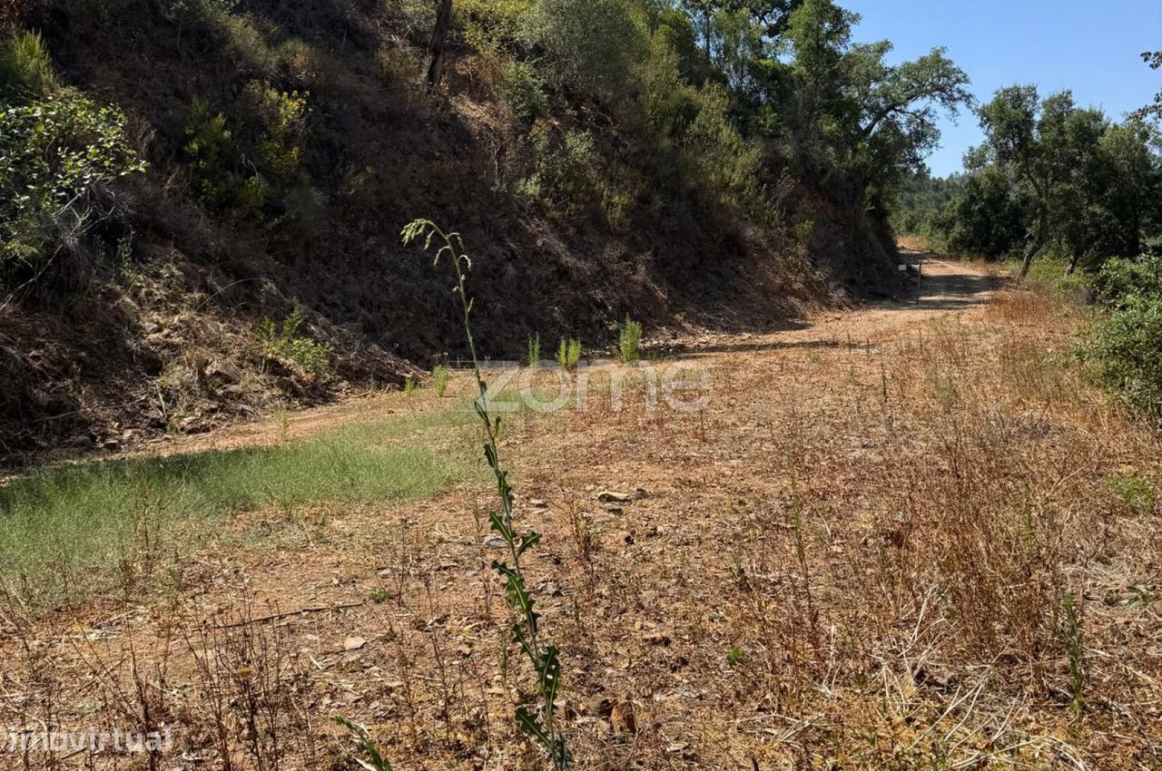 Grundstück in Monchique, Portugal 2000m², Nr. 243511