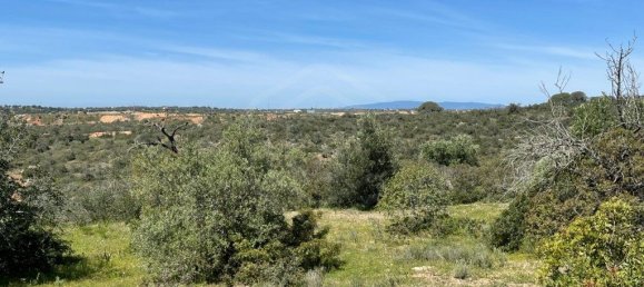  قطعة أرض في Ferreiras, Portugal 2160متر مربع رقم 60544 5