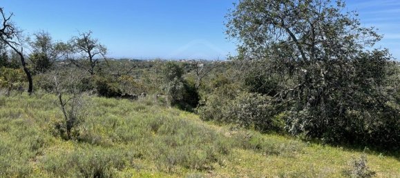  قطعة أرض في Ferreiras, Portugal 2160متر مربع رقم 60544 4