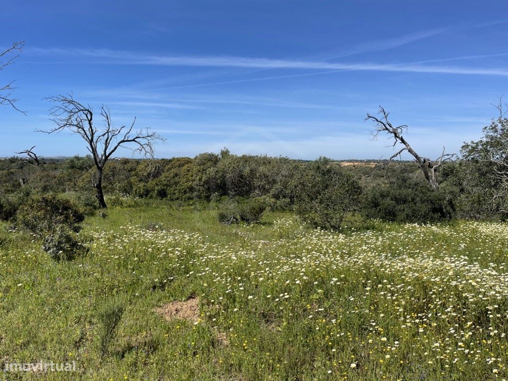  قطعة أرض في Ferreiras, Portugal 2160متر مربع رقم 60544