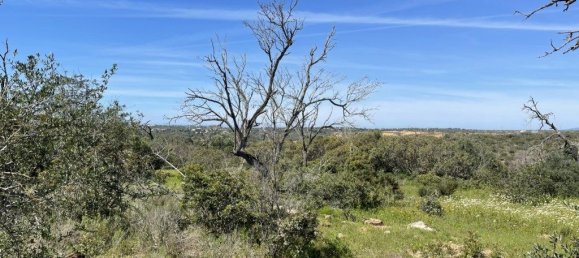  قطعة أرض في Ferreiras, Portugal 2160متر مربع رقم 60544 3