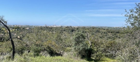  قطعة أرض في Ferreiras, Portugal 2160متر مربع رقم 60544 2