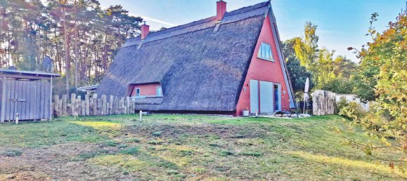 2 bedrooms Townhouse in Vorpommern-Greifswald, Germany No. 128429 3